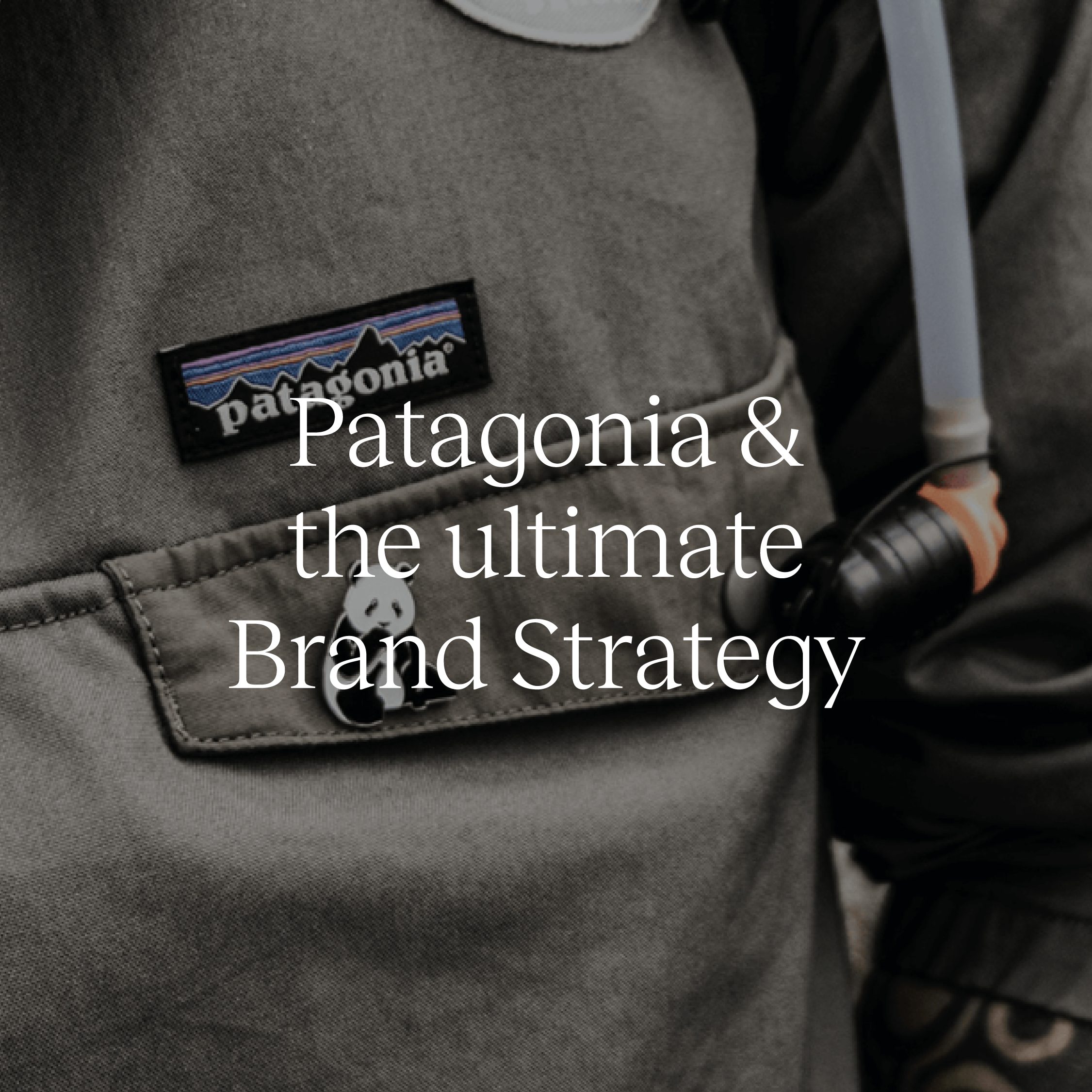 Patagonia Just Rewrote Brand Strategy Standards — Brighton Branding