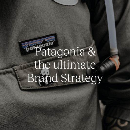 Patagonia Just Rewrote Brand Strategy Standards